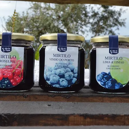 Vakantiehuis De Paco Sever do Vouga