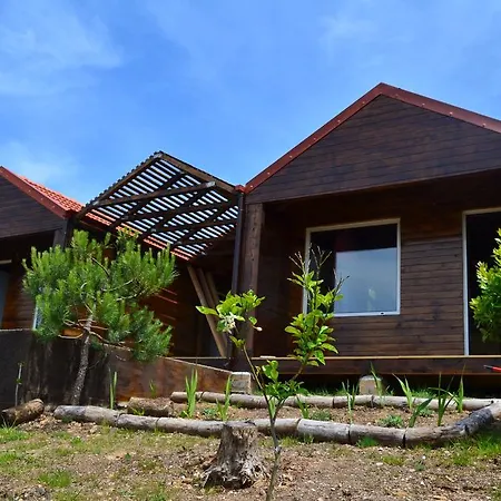 De Paco Sever do Vouga