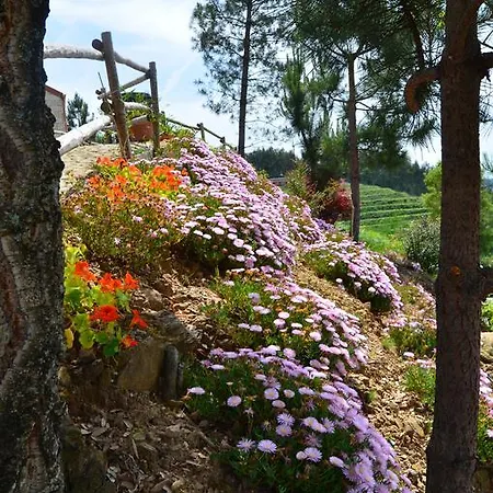 Holiday home De Paco Sever do Vouga