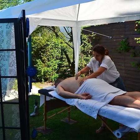 De Paco Sever do Vouga