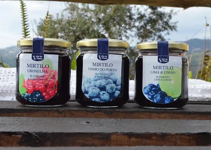 Semesterbostad De Paco Sever do Vouga