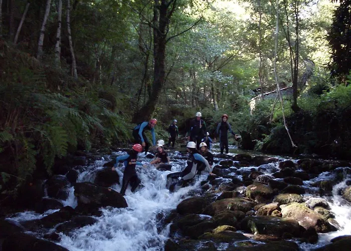 De Paco Sever do Vouga