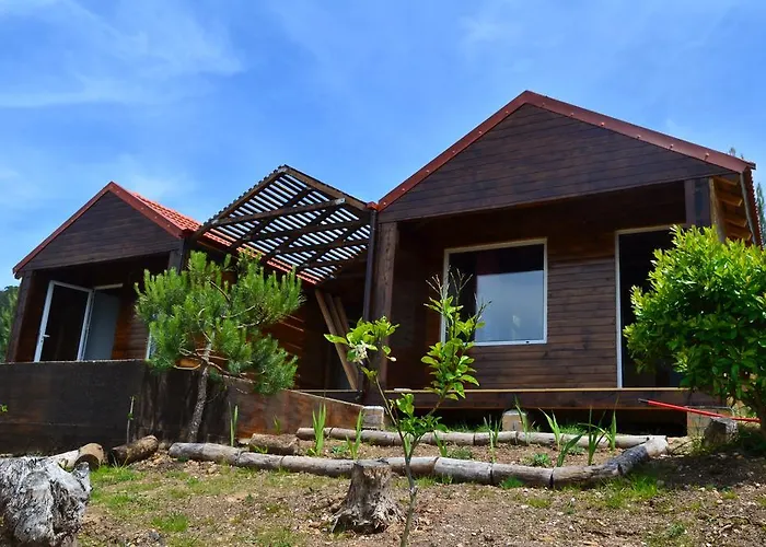 De Paco Sever do Vouga