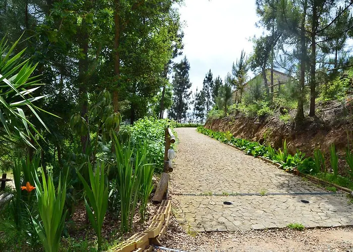 De Paco Sever do Vouga