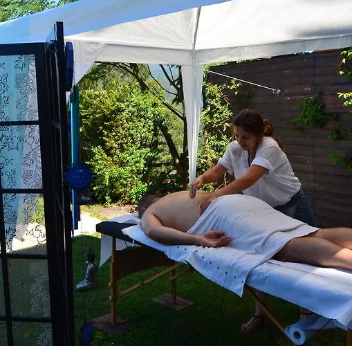 De Paco Sever do Vouga