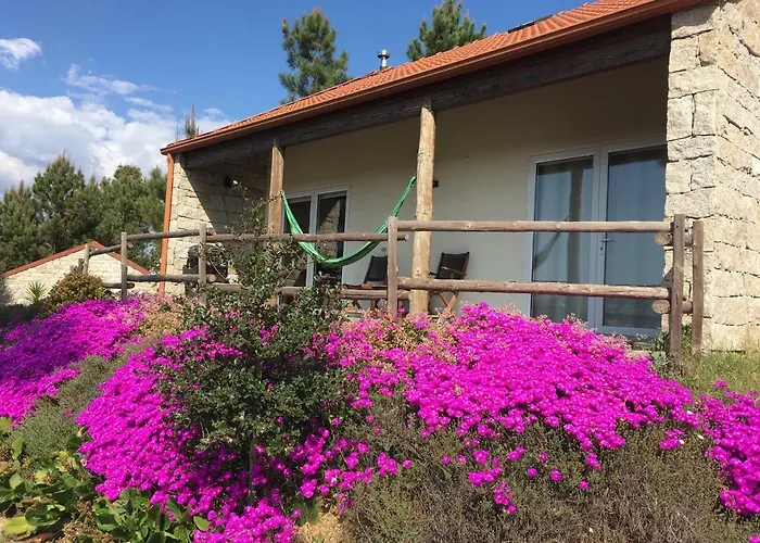 De Paco Sever do Vouga